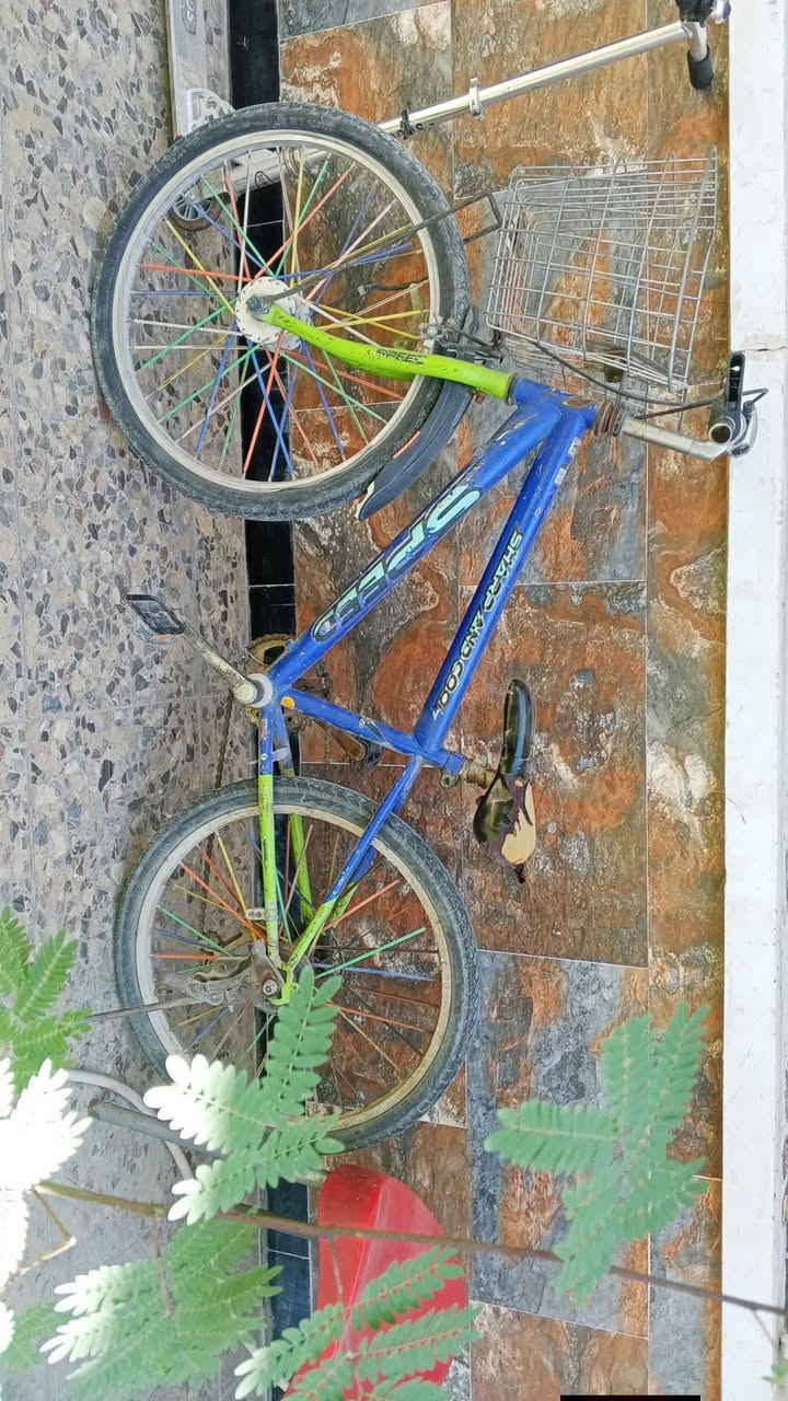 بايسكلات عدد 2 
البناتي ما بي شي فقط تاير خلفي مبنجر سعره 30
الجبلي العكرب ما بي شي السعر 30 
بيهن مجال تاخذ اثنين ب 50
العنوان بغداد الشعب 
*********** واتساب
