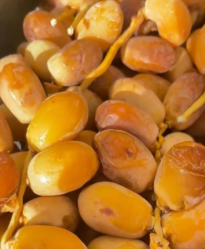 🔥 تمر زهدي  جديد – أصلي 100% 🔥
📦 كل علبة تحتوي على 2.750 كغم
4 علب⚖️ يعني 11 كيلو  كغم (11 كيلو  غرام )
💰 السعر: 25,000 دينار فقط توصيل مجاني لجميع محافظات العراق 
🚚 
📍 التوصيل يشمل جميع محافظات العراق
✨ جودة عالية – طعم مميز – كميات محدودة
📞 للحجز والاستفسار راسلنا خاص
***********
الفحص امام المندوب اذا مو جديد يرجع
