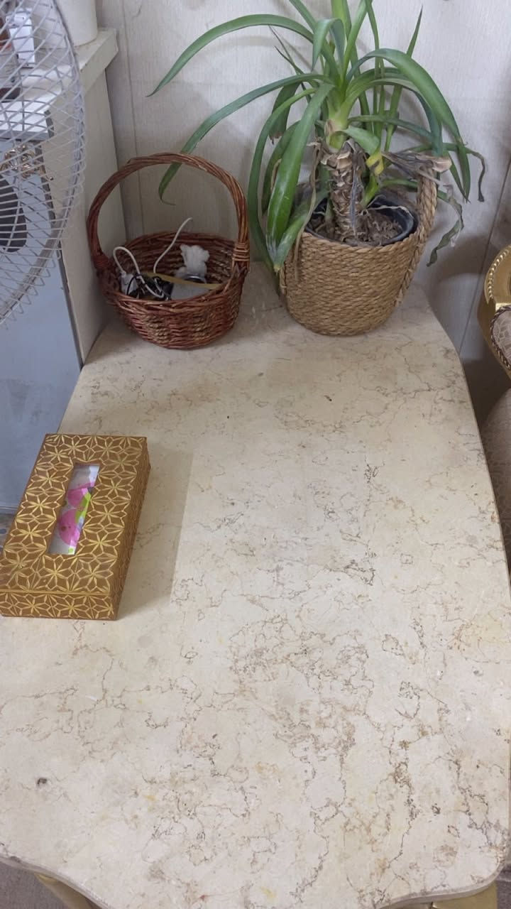 تخم زان مصري 10 مقاعد و 4 طبلات السعر 750التخم نظيف جدا سبب البيع ضيق المكان


**إذا كنت صاحب هذا الإعلان وتريد حذفه لأي سبب، رجاءا أرسل رسالة إلى الدعم الفني**