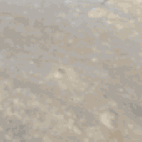 بيت • ١٠٠م • صالح زراعة