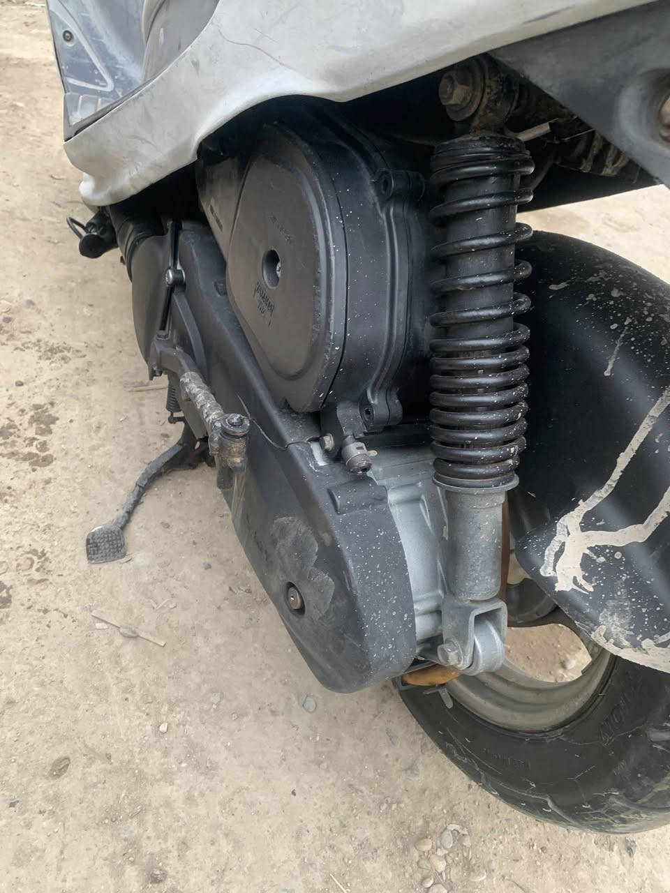 سلام عليكم ماكس منغولي كلها ملاح نكره سلف وعندو عوزها شوي ترتيب مكاني مدينه صدر اوراق كامله ومنفيس سعرها 500 وبيها مجال ***********
