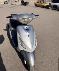 ماكس منغولي • لون فيلي • معدل