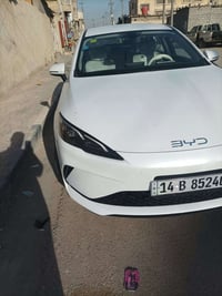 سيل ٥ • ٢٠٢٥ • رقم بصرة