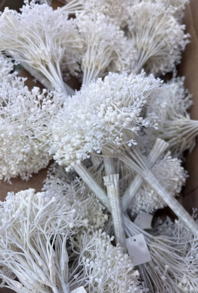 بيع جمله فقط تواصل ع وتساب جمله   

تواصل ع وتساب جمله ***********

https://t.me/+WAD1WupF_n9jN2Ni
