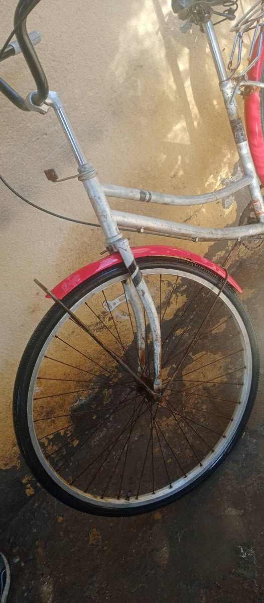 بايسكل سياحي للبيع ب40وبي مجال
المكان البصره


**إذا كنت صاحب هذا الإعلان وتريد حذفه لأي سبب، رجاءا أرسل رسالة إلى الدعم الفني**