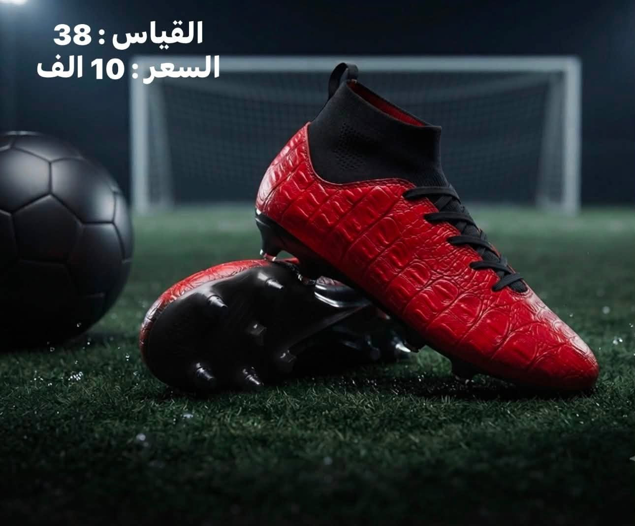 حذاء رياضي امزون


**إذا كنت صاحب هذا الإعلان وتريد حذفه لأي سبب، رجاءا أرسل رسالة إلى الدعم الفني**