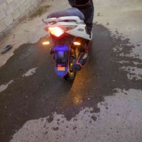 سايم نحله • ٢٠١٩ • زنون