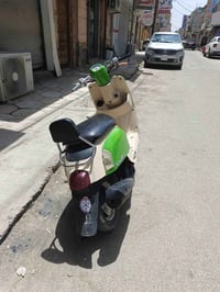 بواليس • نضيفه • مختم أصلي