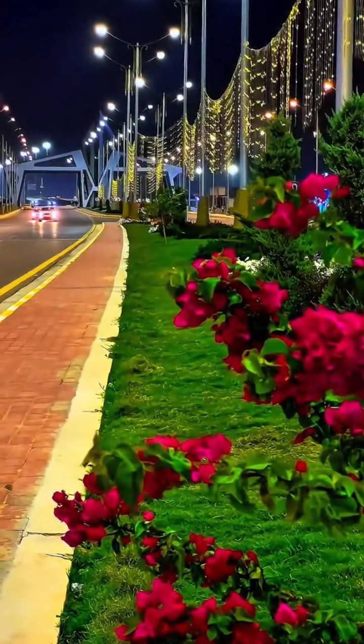 هندسة وتصميم الحدائق داخل الرمادي العمل حسب طلب للاستفسار اكثر اتصل على الرقم  *********** 🏠
