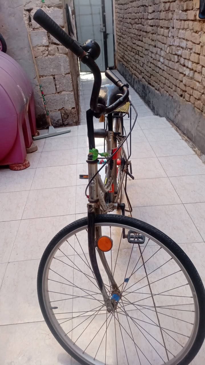 باسيكل للبيع السعر 75بيه مجال مكان الحر


**إذا كنت صاحب هذا الإعلان وتريد حذفه لأي سبب، رجاءا أرسل رسالة إلى الدعم الفني**