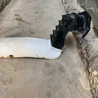 سيبايه (سبايدر) للبيع السعر 50 الف وبيها مجال للاستفسار : 07731878564