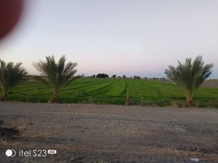 #استثمار #عقارات دوانم طابو زراعي سند ٢٥ المساحه 4دونم 
سعر الدونم 25 وبي مجال وجنسهه 
الخدمات ماء وكهرباء تبعد عن الكاظميه 25 دقيقه 
يم مرقد بنات الحسن بسند مستقل 
الموقع الوجهه 50 والنزل 50 
بغداد التاجي منطقة الشيخ عامر العيساويه 
جميع الخدمات متوفر 
تحويل مباشر بالطابو باسم المشتري  
الاستفسار ***********واتساب
