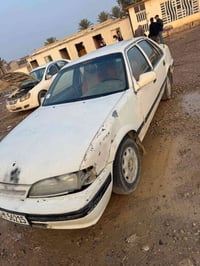 برنس • موديل ٩٥ • ديالى الخالص