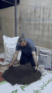 افضل تسميد للحنطة وخاصة للاراضي التي تعاني من الاملاح العالية  هيومك ا...