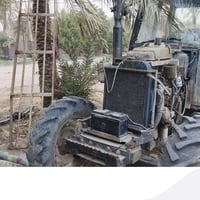 عنتر 80 • فتون • الغراف