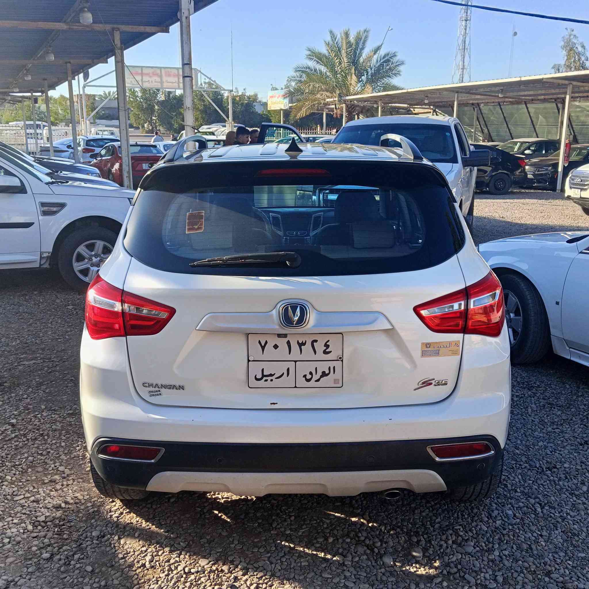 شنجان
2019لبيع فول مواصفات مكفوله من صبغ 
*********** اكرم
