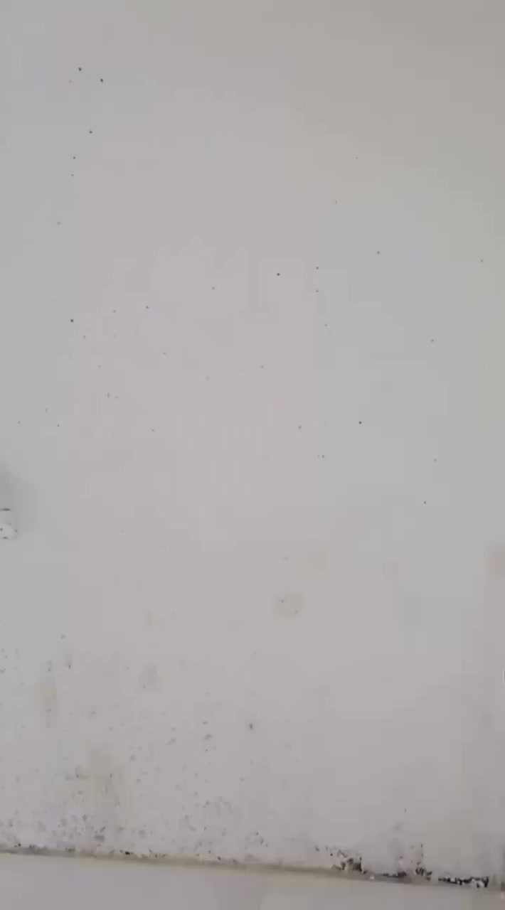 يوجد  شقتين رهنية  طابق ارضي  تحتوي كل شقة غرفتين ومطبخ وهول وصحيات رهينة كل شقة ١٥مليون والايجار ١٥٠الف المكان الحرية  الدولعي شارع الغاز  لاستفسار اتصال على الرقم***********ابو علي
