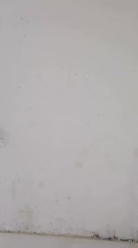 شقتين رهنية • طابق ارضي • الحرية الدولعي