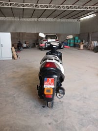 ماكس • نضيفه • جوزة عاطلة