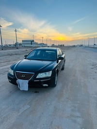 سوناتا • ٢٠١٠ • نجف