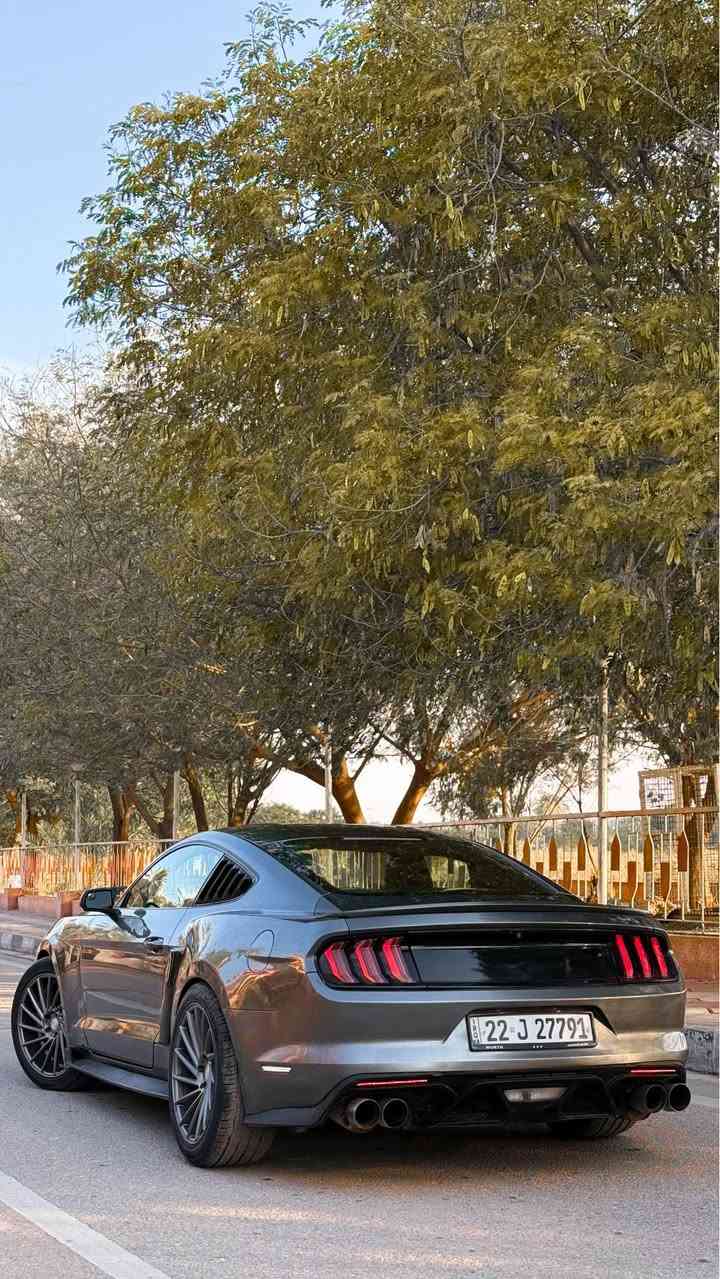 سلام وعليكم
فورد موستنك 2016 لون نفطي لامع *
الفئة V6 ( ستة سلندر) فول مواصفات 

رقم اربيل سنوية جديدة بأسمي .. 
للبيع او مراوسة حسب القناعة ..

ماشية ٧٥ الف
السيارة جديدة كاملة وبدون نقص ( تايرات جدد )
عليهه برمجة وطلقات سيفتي
وعليهه صالنصة HT power واكس بايب وداون بايب محرك وكير واكسل بشرط

مواصفات :
بلاجكتور بلاد
كشن كهرباء
فول تحكمات ستيرن
كامره دوارة
تشغيل عن بعد شفتات ستيرن

اضافات :
بك لايت ٢٠٢٣ سموك
ويالة فوزن
لحية سيرفيني
دعامية خلفية جيتي
سبايدر
سكوبات جانبية
دوسات جيتي
• دفيوزر

السيارة حادثهه بأمريكا خفيفة بدون دواخل و شواصي
وهنا بالعراق مصبوغة خمس قطع اثر شخوط اني ابيعه حزام بدون دواخل ..

مكان السيارة ديالى / خانقين
سعرهه ١٣٤ وبي مجال بسيط ..
للاستفسار   *********** خناقين, ديالى
