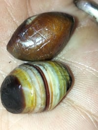 جزعاات داوودي • مطلسم • منقوش