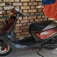 منغولي • فحل • اصلي