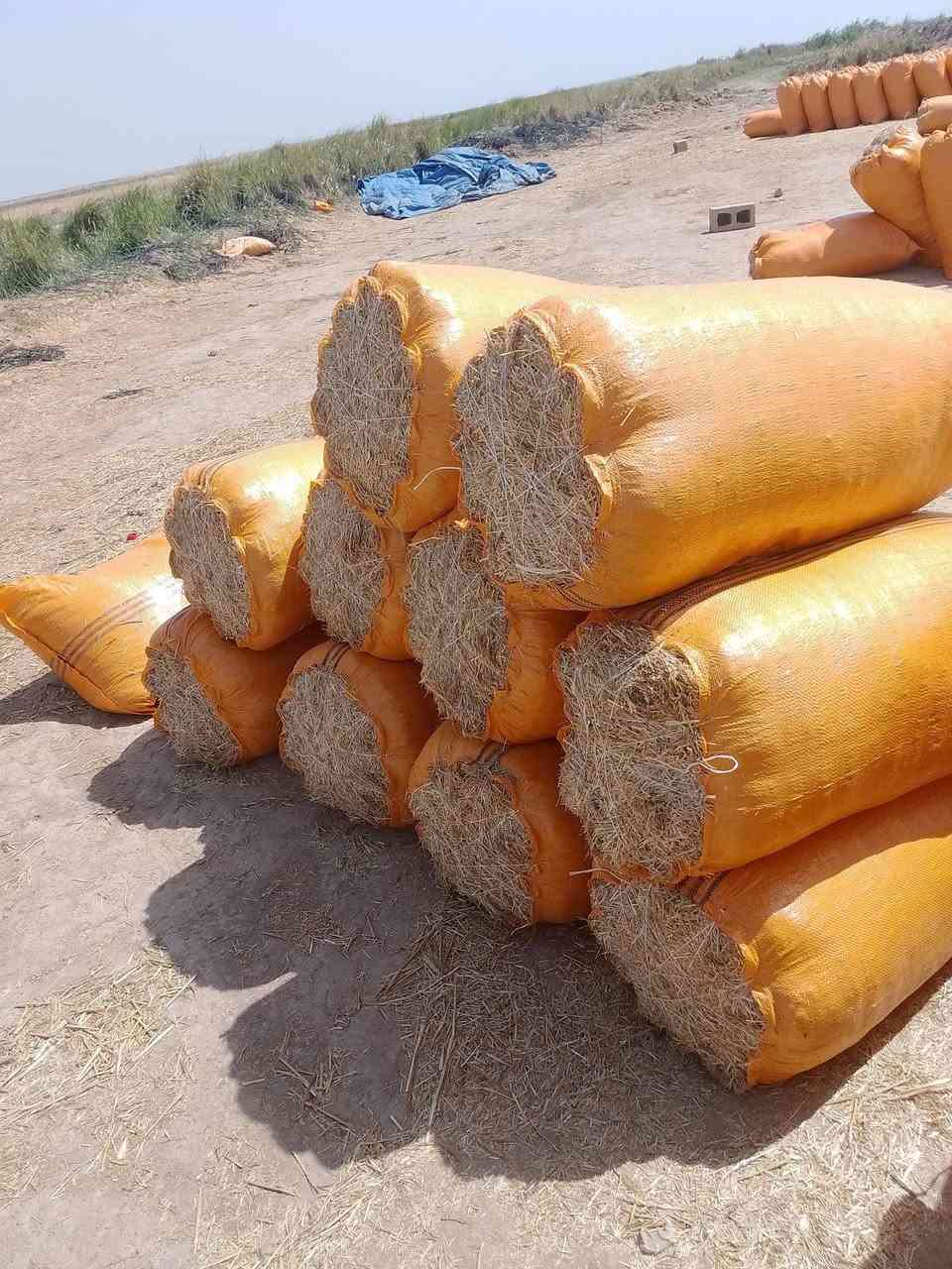 تبن جديدمال سنه بنسب لسعار على هاذ الرقم ***********
