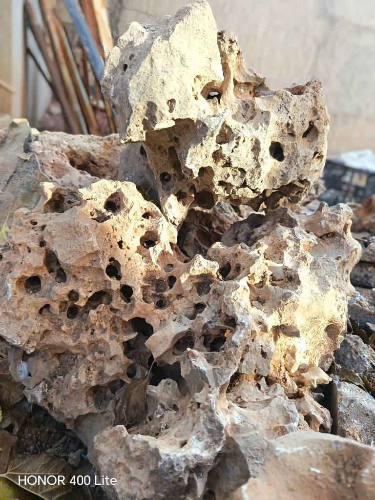 ئەم بەردە کون کونانە بۆ فرۆشتن
بۆ ڕازاندنەوەی باخجەکانتان 
بەردەکان زۆر جوانن 
دوو پیکابی تاکمان هەیە
ناونیشان هەڵەبجەی شەهید 
بۆ نرخ چات بکەن حلبجة, السليمانية


**إذا كنت صاحب هذا الإعلان وتريد حذفه لأي سبب، رجاءا أرسل رسالة إلى الدعم الفني**