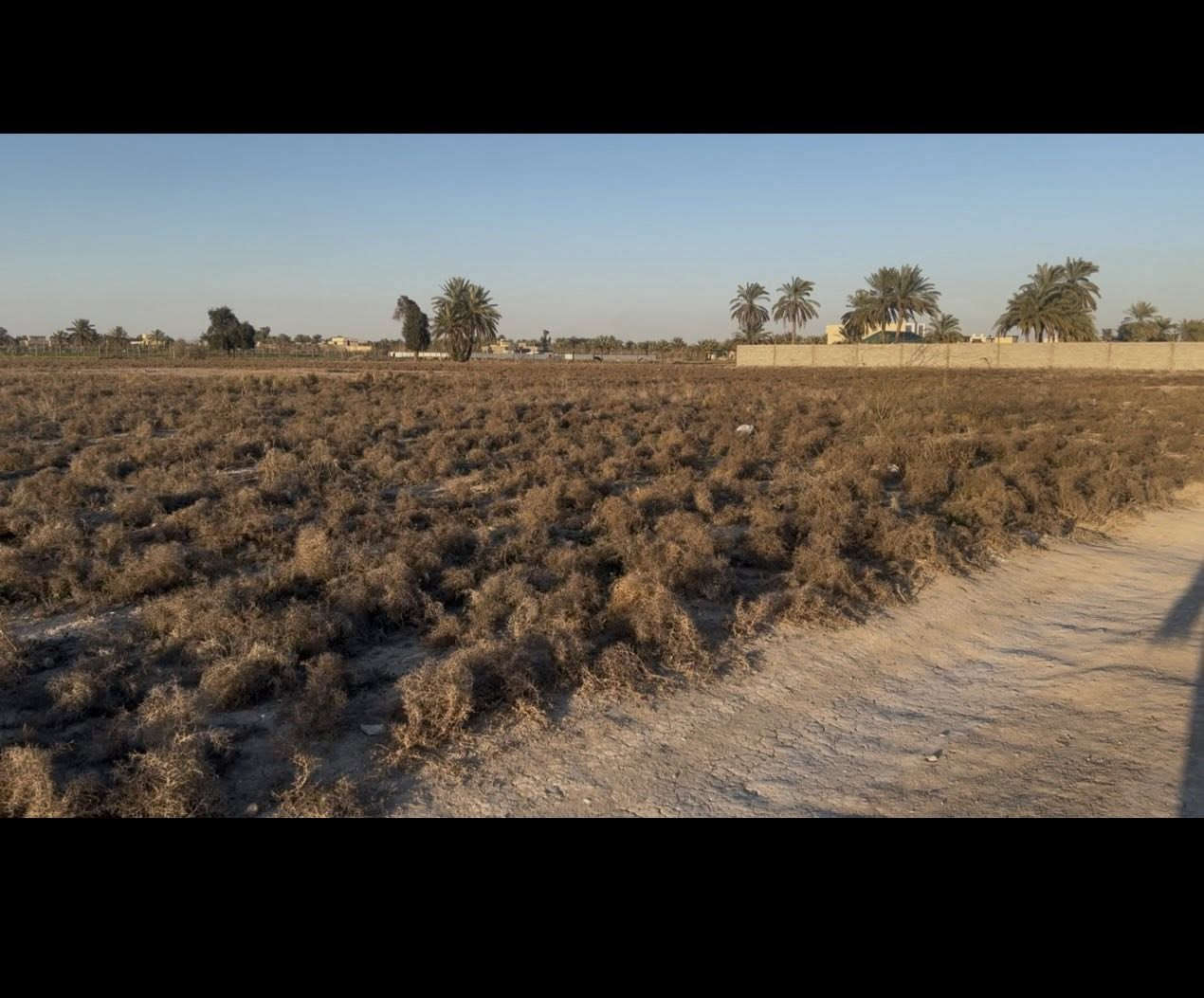 اارض طابو صرف ثلاث دوانم على شارعين تتحول باسم المشتري ب الطابو الاتصال ب الرقم ***********
