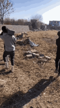 السلام عليكم كادر  عمل نشتغل كافه الاعمال ابو بلال ***********
تفليش صحيات +مخزن معا شيل الانقاض
تفليش وتنضيف الابلوك +تصفيط
تفليش بيتونا وستاره وشيل الانقاض
تفليش سيراميك الارضية +شيل الانقاض
تكشير سيراميك+تكشير جص+تكشير لبخ
فتح أبواب وشبابيك
تدخيل جص داخل البيت
تصفير بيوت +فرش حجر
تدخيل اتراب حدائق
حفر تراب الحدائق
حفر قواعد الدنك +صب القواعد
فرش حجر بيوت
صب صحيات ودنك
تصفيط بلوك فوك الخريطه
رش تكعيبات بلكامل
رش بيوت بلكامل
أتصل وتبشر ***********
