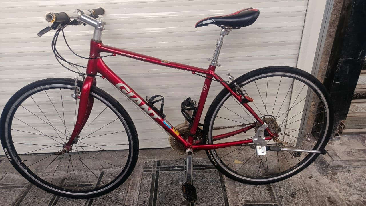 جاينت صناعة يابانية معدن المنيوم  بالكامل كيورة سحب دفع 8×3 ويالة سكيب كمبليون أمامي وخلفي حجم الإطار 28×700c دراجة وضع حاوية كاملة من اي نقص  السعر ١٤٠ مكاني بغداد مدينة الصدر ***********
