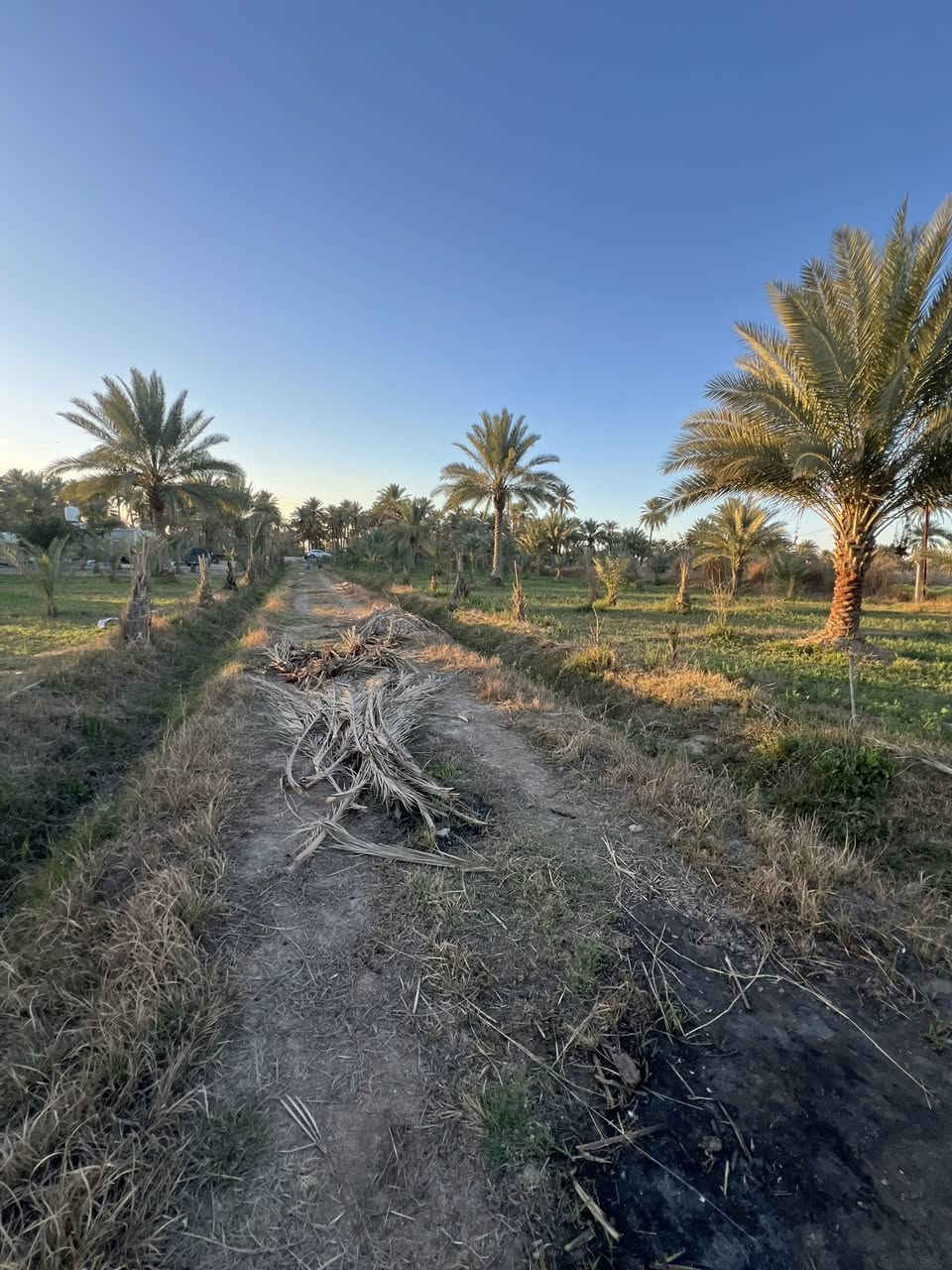 بستان للبيع سند24 الموقع كربلاء الحسينية الإبراهيمية خلف إذاعة كربلاء 
أربع دوانم وجه 65 م ولباقي نزال 
كل الخدمات 
تبعد عن الشارع العام 700متر 
للأستفسار أتصال ***********
