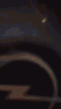 فكترا • ١٩٩٢ • جير عادي