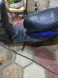 نثية • خيط تبخير • فحل