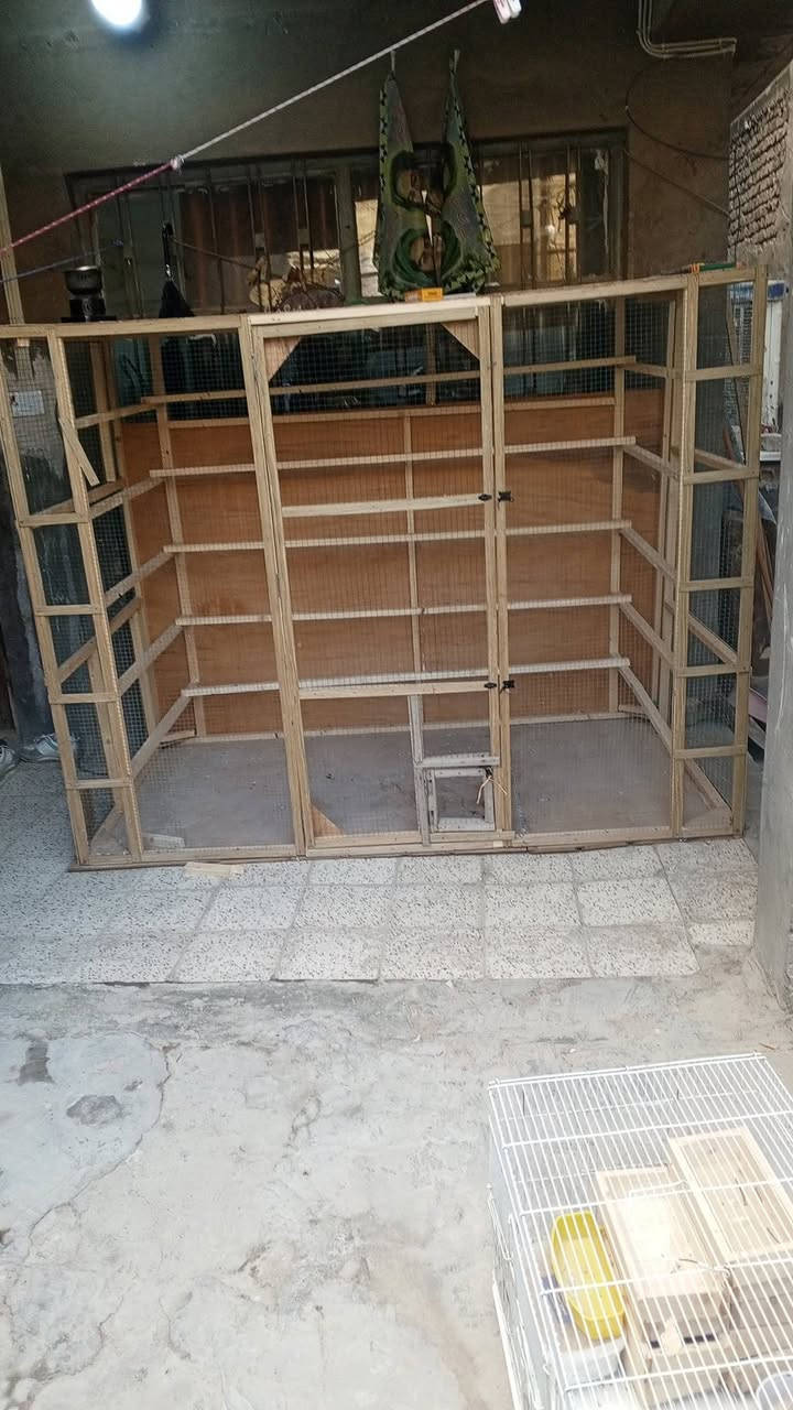 برج مستعمل نضيف استعمال اقل شهر برج كلشي يصير سابقن مستعمله طيورحب بي بابين + ارضيه شادله جديده بلاش ويه برج قياسات البرج طول 160 عرض 2 نزال110 سعره 65 فقط بي مجال بسيط للطيبين سعره مناسب وحلو مكاني بغداد الامين الثانيه قرب جامع المحسن  للستفسار واتساب ***********  / ***********
