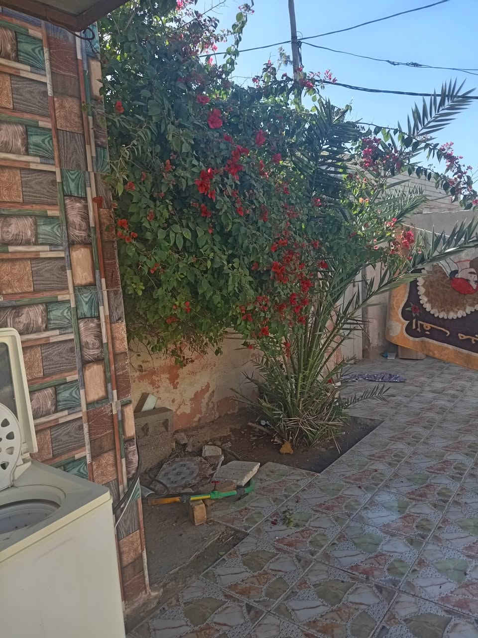 بيت زراعي البيع مساحه ٣٠٠ م خلف الإسعاف الفوري شارع الجزيره الحولي ال٣٠
للإستفسار أكثر الاتصال على الرقم
***********
