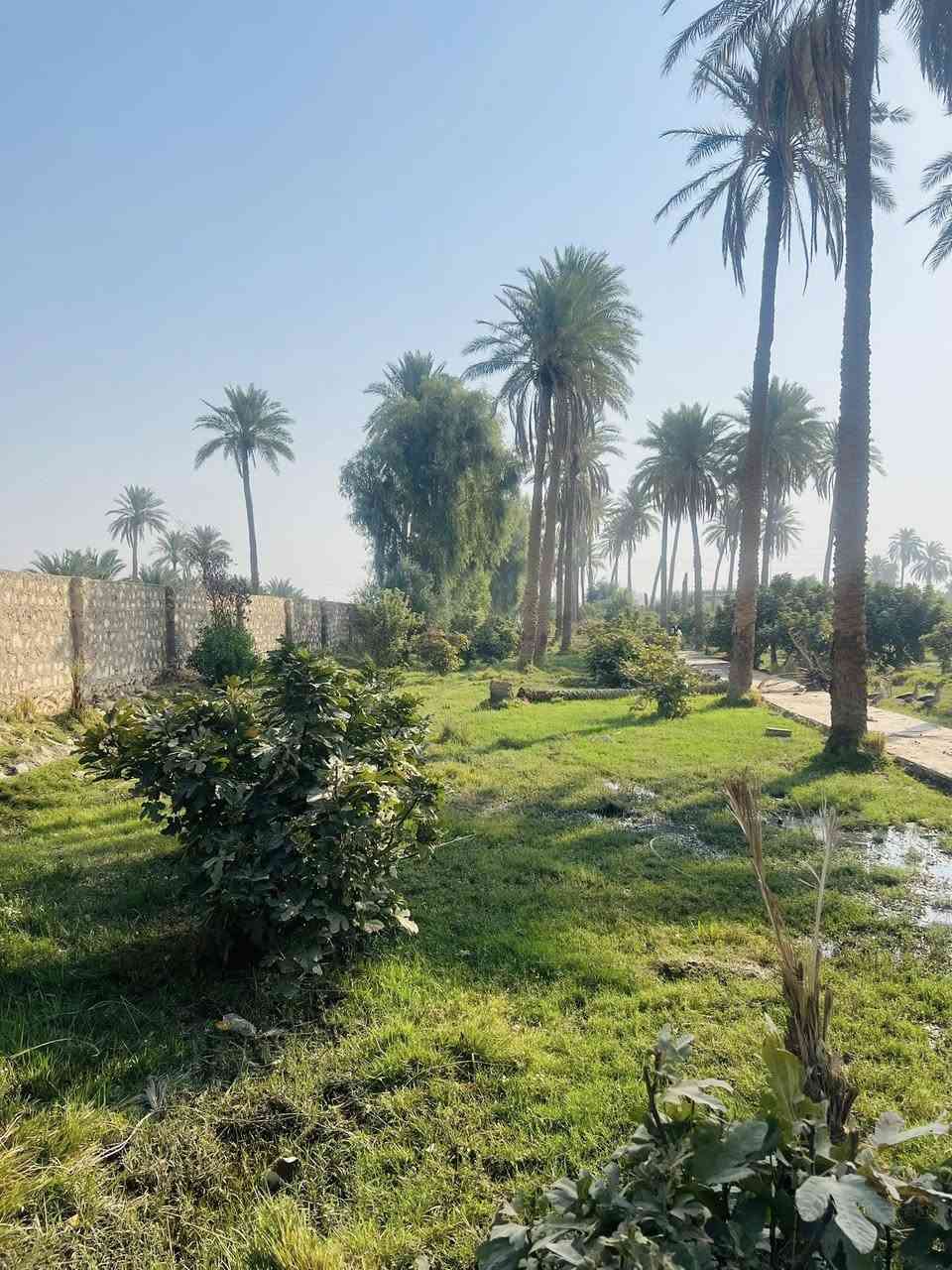 سلام عليكم ارض زراعيه للبيع 
المساحه (3) دونم ونص 
العنوان ام نعجه عمود 256 

‭0783 885 1910‬
