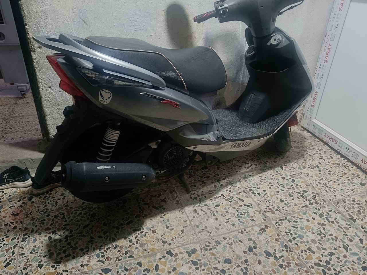 ثعلب مكفوله من كلشي متصرف الف عليها للبيع مكان بغداد الحريه سعر950 (***********
