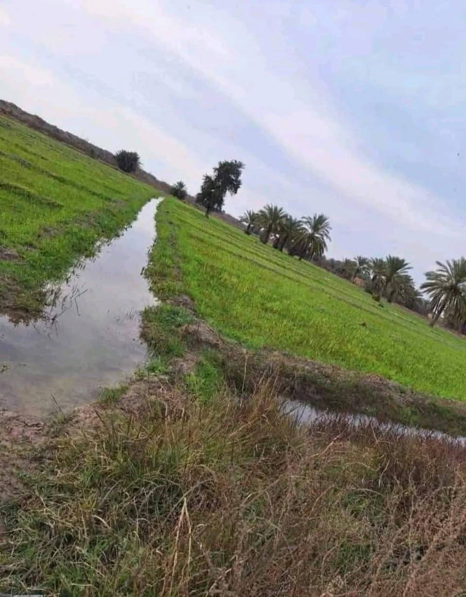 📍 العنوان: بغداد – التاجي، الشيخ عامر العيساوية
📏 المساحة: 10 دونم
⏱️ تبعد عن الكاظمية 30 دقيقة فقط
💰 السعر: 12 مليون فقط
✨ المميزات:
🔹 على التبليط مباشرة
🔹 كاملة الخدمات (ماء + كهرباء)
🔹 منطقة هادئة جداً
🔹 قريبة من السوق ومدراس
🔹 موقع حيوي ومناسب للسكن أو الاستثمار
💡 إمكانية البيع تقطيع (من دونم فما فوق)
📞 للاتصال: ***********
#بغداد #الكاظمية #التاجي #سبع_البور #عقارات #بيع_اراضي #اراضي_للبيع #استثمار #فرصة #مزارع #استراحة #العراق
