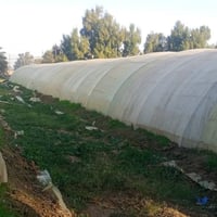 بيوت بلاستيك • ٣ قطع • بابل جبله