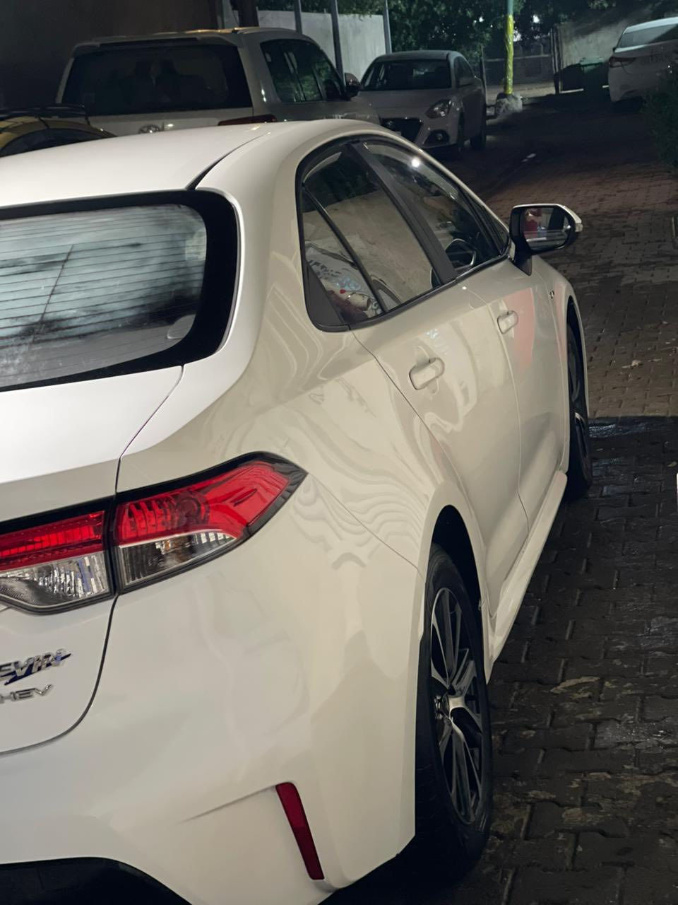 ‏
￼ كوريلا هابرتي 2025 ***********
