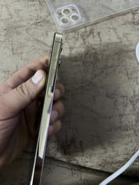 ١٢ برو ماكس • ٢٥٦ • مبدل شاشة