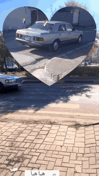 السعر (50)(***********)
