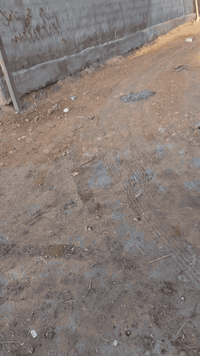 عمود ٣١ • ١٠٠م • بيع مستعجل