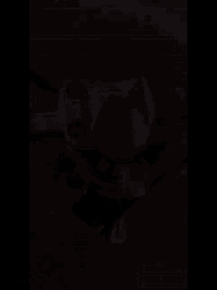 دراجه 4 كير محرك مضيف شوفت عينك الدراجه خير من الله للبيع للاستفال اتصل علرقم مامتواجد فقط اتصال
0778 246 8779
