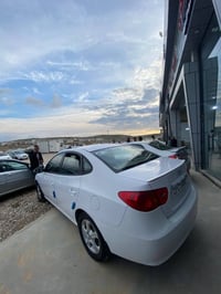 النترا • ٢٠١٠ • قطعتين صبغ