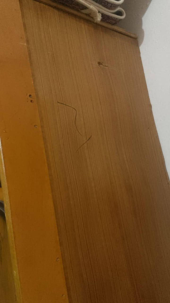 البيع سعر 75وبي مجال بس ضربه خفيفة مامثره


**إذا كنت صاحب هذا الإعلان وتريد حذفه لأي سبب، رجاءا أرسل رسالة إلى الدعم الفني**