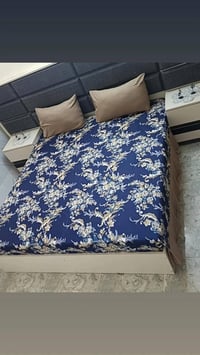 بوهيمي قطني • درجة اولى • شوره