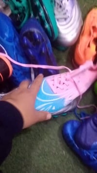 ستد اوربي • ١٤قطعه • جمله